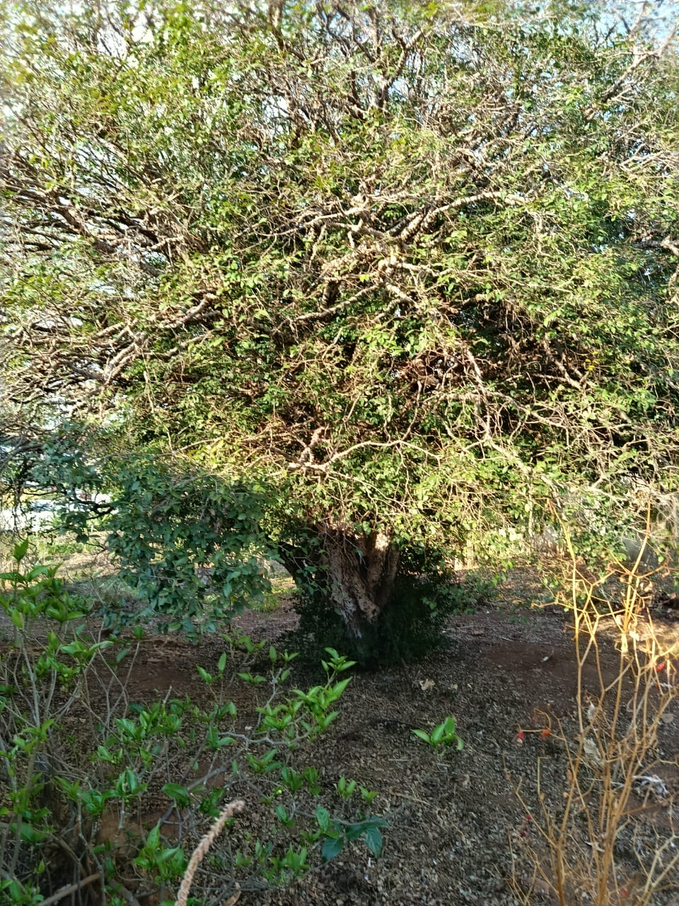 Residência Vila Silvéria - Imagem 12